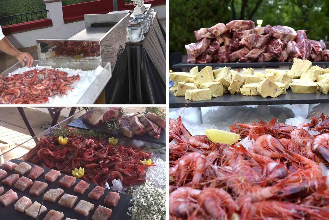 GASTRO 2014 BODES-51
